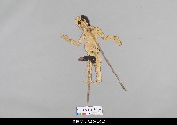 藏品(泰國小檯皮影戲偶)的圖片